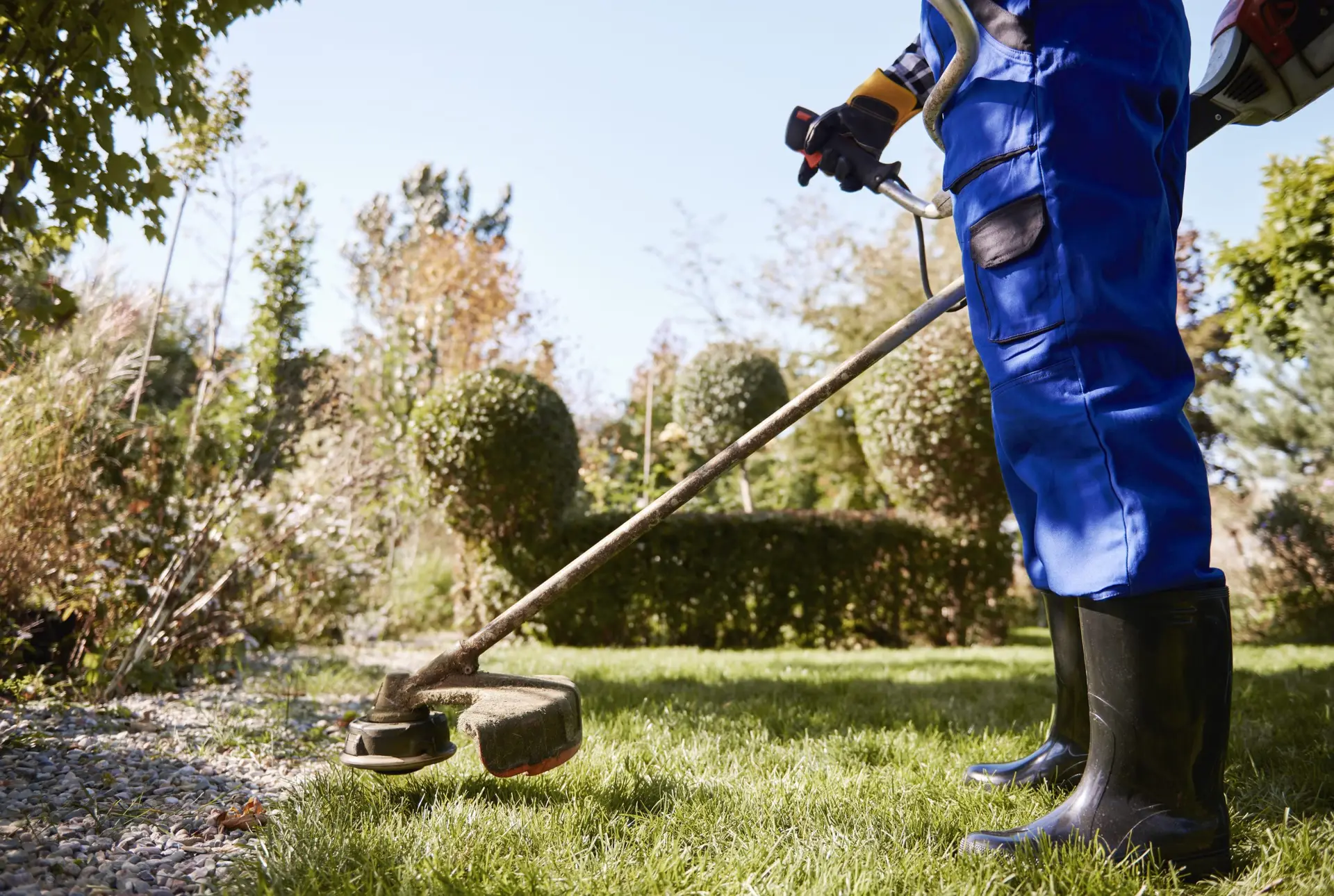 cuidado de jardines