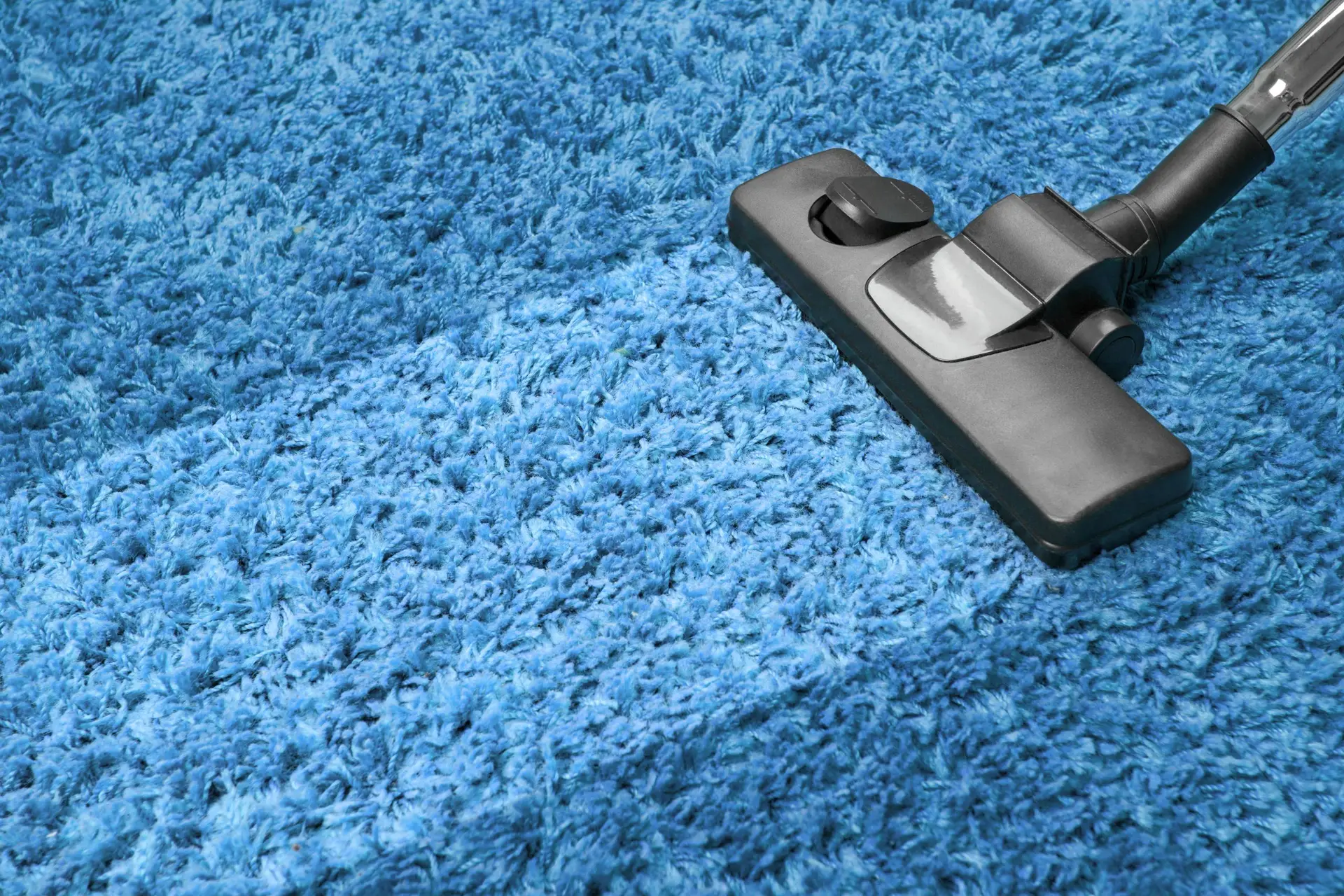 Aspirador para limpiar alfombras
